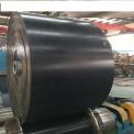 Dunlop Conveyor Belts