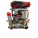 Duxas Portable Power Sprayer, 16 liters