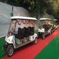 Electric Golf Buggies
