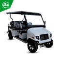 ELECTRIC GOLF BUGGIES, Maximum Run Per Charge: 60-80 km, Loading Capacity: 500-1000 kg