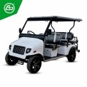 Electric Golf Buggies Spares, Seating Capacity: 6 Seater (4 F +2 R)