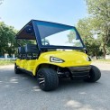 Electric Golf Buggy 6 Seater
