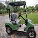 Electric Golf Cart