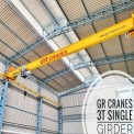Electric Overhead Eot Cranes Manufacturer in Rohtak,Haryana, For Material Handling, Load Capacity: 12 Ton