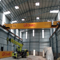 Electric Overhead EOT Cranes Manufacturer in Haldwani, For Material Handling, Load Capacity: 12 Ton