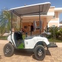 Electric Resort Cart 04 Seater, Loading Capacity: Upto 500 kg, 60-70