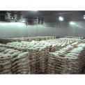 Fish Cold Storage Room