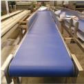 Flat Belt Conveyor