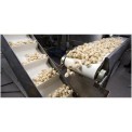 Food Industry Conveyor, 220V