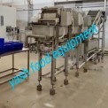Frozen Green Peas Processing Machinery(AUTOMATIC), 250