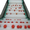 Fruit Washing Modular Conveyors, Capacity: 100-150 kg per feet