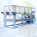 Fully Automatic Block ice making Plant