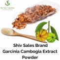 Garcinia Cambogia Extract, Packaging Type: Container, Pack Size: 5 Kg