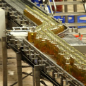 Glass Bottle Conveyor