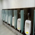 Glass Urinal Partition