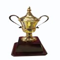 Gold Metal Trophy Cup
