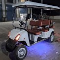 Golf Cart BUGGY