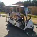 Golf Cart Rental Services