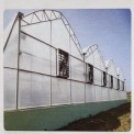 GREEN HOUSE ( Gothic Roof) Forced Ventilated.