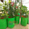 Green/Orange Curry Leaf HDPE Grow Bags, For Terrace Gardening