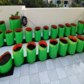 Green/orange Round Grow Bag 15x18, For Growing Plants
