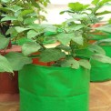 Green/orange Round Grow Bag 15x18, For Growing Plants