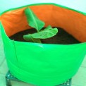 Green/Orange Round HDPE Grow Bag 24x24 (GSM200), For Terrace Gardening