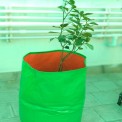 Green/Orange Round HDPE Grow Bag 24x24 (GSM200), For Terrace Gardening