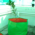 Green/Orange Round HDPE Grow Bag 24x24 (GSM200), For Terrace Gardening