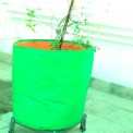 Green/Orange Round HDPE Grow Bag 24x24 (GSM200), For Terrace Gardening