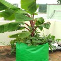 Green/Orange Round HDPE Grow Bag 24x24 (GSM200), For Terrace Gardening