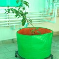 Green/Orange Round Outdoor Flower Grow Bag 15x18, For Flowers