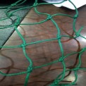Green,White Virgin Hdpe + Uv Garware Cricket Practice Nets, 2.5mm
