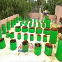 HDPE Maddi Thottam Grow Bag Kit- 50 Plant Bags, Size: Cirucular