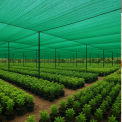 HDPE Plastic Nursery Shade Net, For Agriculture
