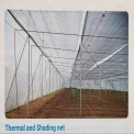 HDPE Plastic Thermal Shade Net 75%, Size: 3 Meter X 50 Meter, For Green House