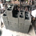 Hollow Block Making Machine, Capacity: 2000 Blocks per Hour