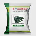 Hybrid Bitter Gourd EX KANCHI F1 Seeds, Packaging Type: Packet 10 GRAMS