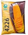 Hybrid Maize Corn Vnr 4226, Packaging Type: Packet, Packaging Size: 4 kg