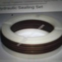 Hydraulic Sealing Set