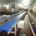 IMEC Mild Steel Modular Packing Belt Conveyor System, Capacity: 50-100 kg per feet, Material Handling Capacity: 50 kg