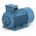 Induction Motors