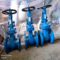 Industrial Gate Valve