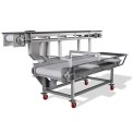 Inspection Conveyor