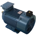 Inverter Duty Motor