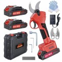 Iron Cordless Pruner