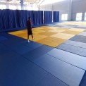 Judo Mat keepfit, Thickness: 50 mm