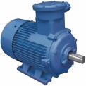 Kirloskar Single Phase Industrial Electric Motor