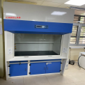 Lab Fume Hood