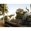 Ladle Bail Arm, for Steel Industry